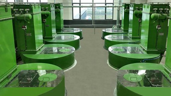 Application of High-Efficiency and Precision Automatic Weighing System